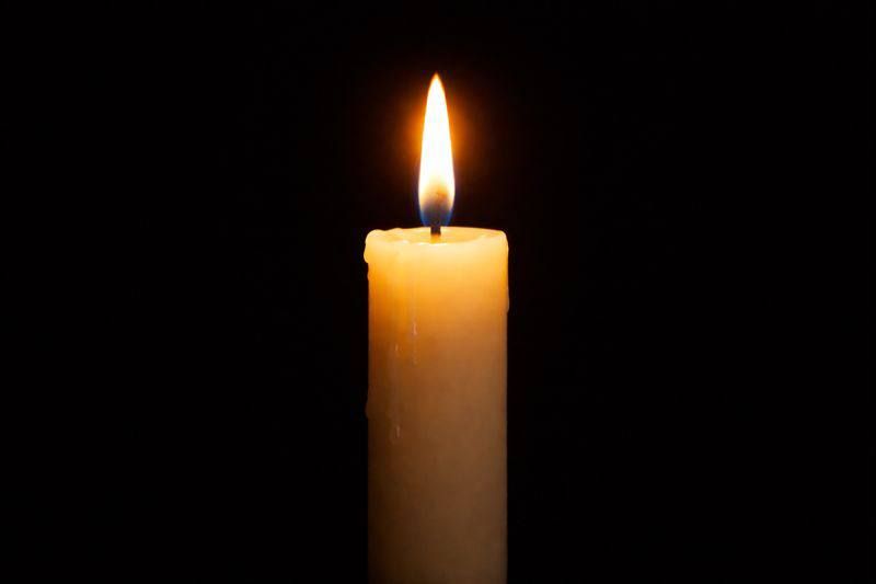 ���� �������� ������ �������� � ������