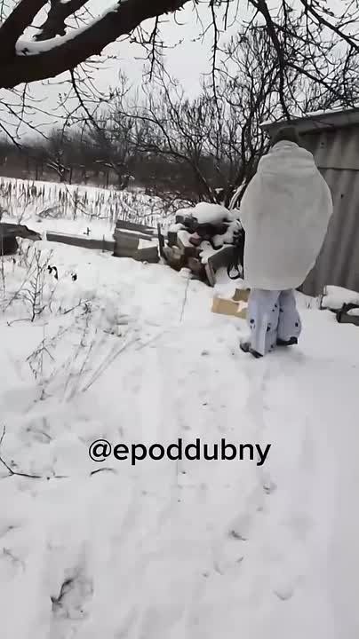 ����������� ��������� � ��������������