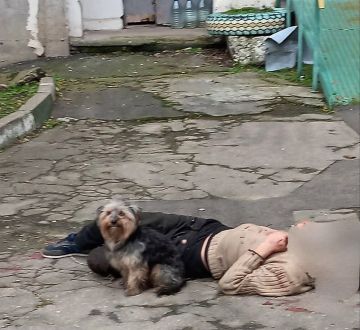 ������� ����� �� ����� ����� � �������