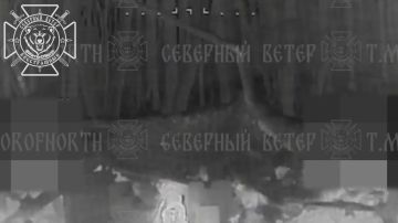 �������� ������� � ���������� ������� �101 ��� � ����������� �������