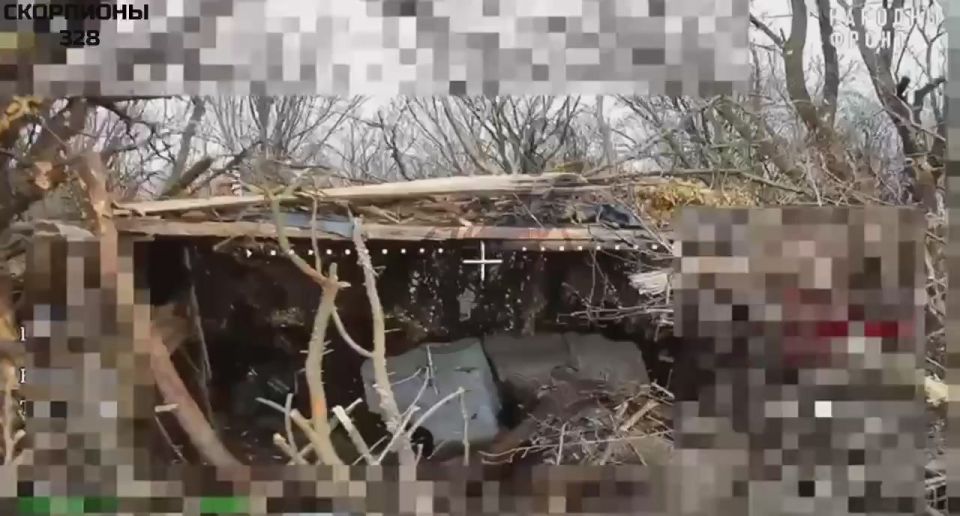 �������� ������ �������� ������ �������� FPV-������ ����������� ��� "�����" �� ����������� �����������