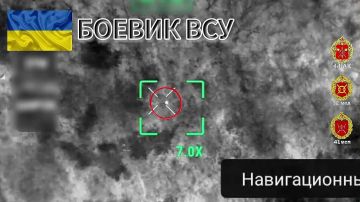 ����������� �����. ����������� ������� ������ ���� 41 ��� 44 ���������� ������� ������������ ������� ��� ������� ���������� � ������������