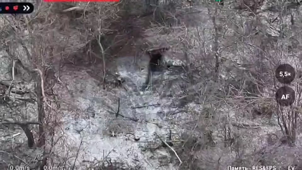 �������. �������� ��������� ����������� ��������� ������� ��������-����� ���������� �������