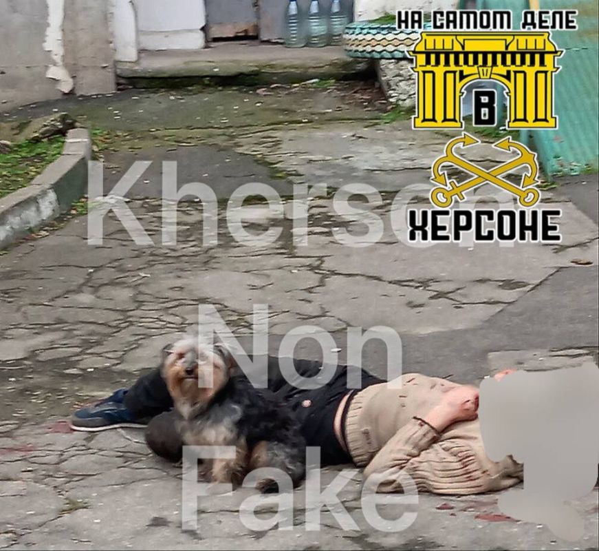 ����� ����� ������ ���� ����������� �������: ����������� ��������� �� �������, � ������� �� ������ �����