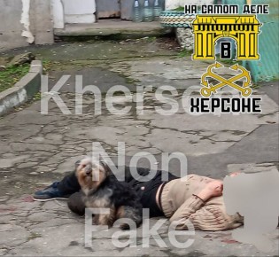 Драка после Нового года закончилась смертью: подробности потасовки на Острове, о которой мы писали ранее