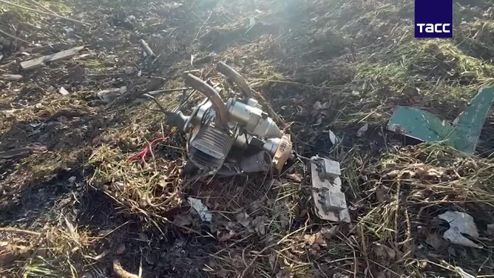 ����� � ��������� ����, ������������ � ���������� ���� ���������� �������