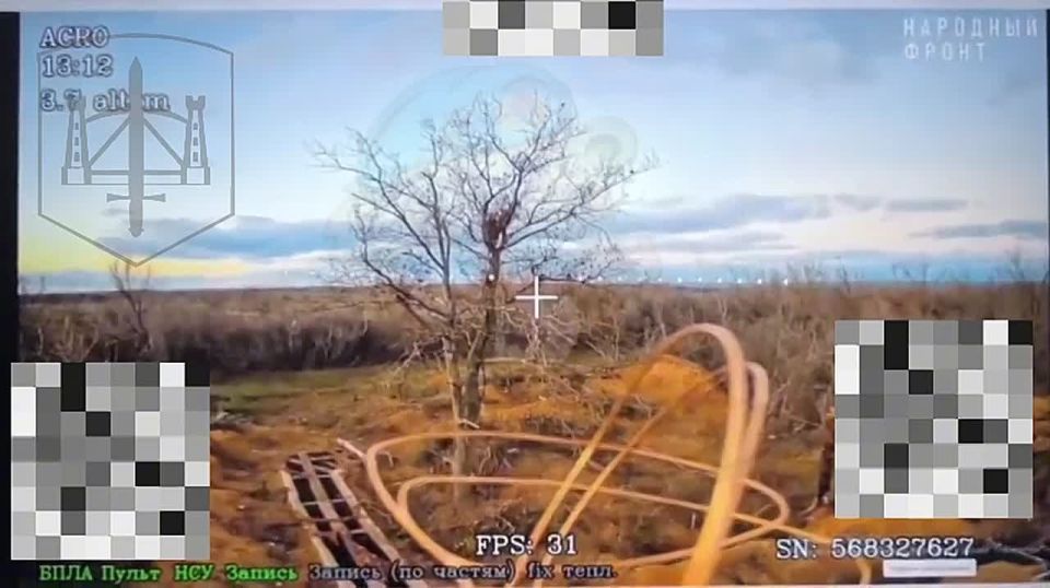 ���� �� �������: ����������� �����������, ����� �.�. ������������