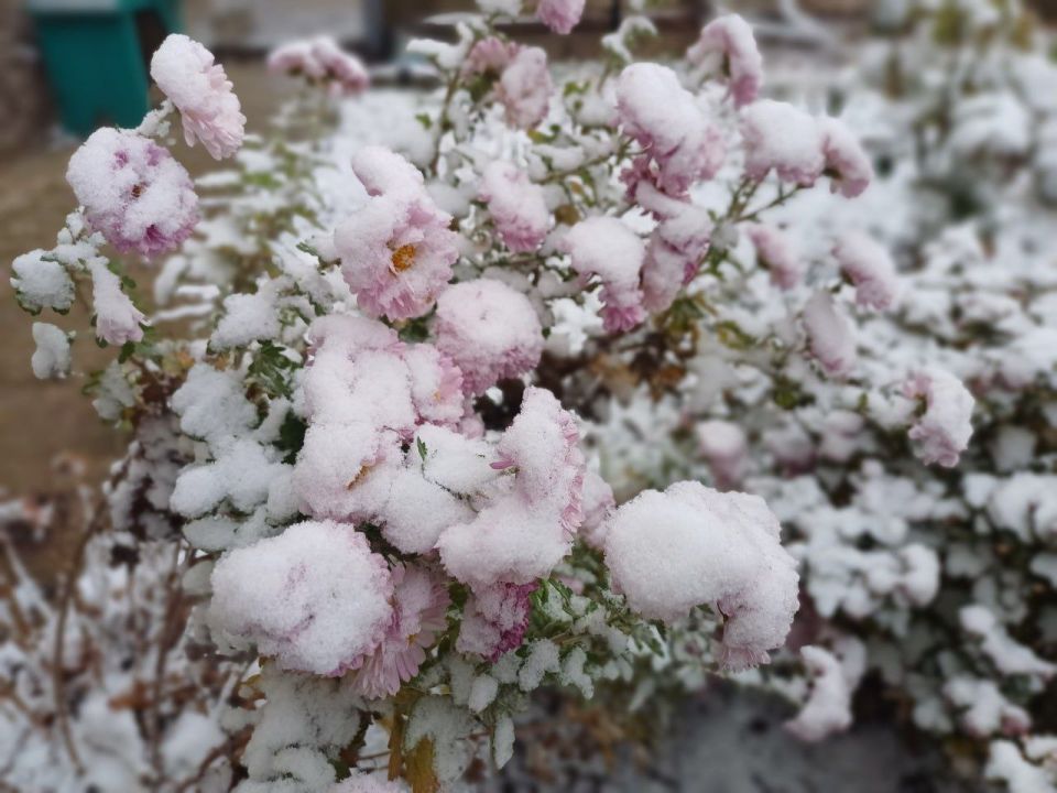 ������ ������.. ������ ����, ����������!