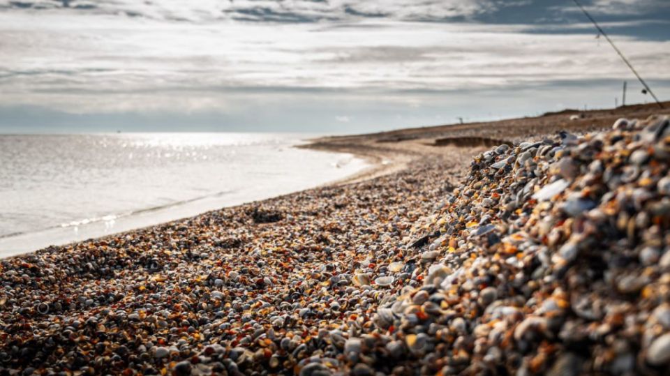 � 2025 ���� � ������������� ���������� ������� �������� 18 ������