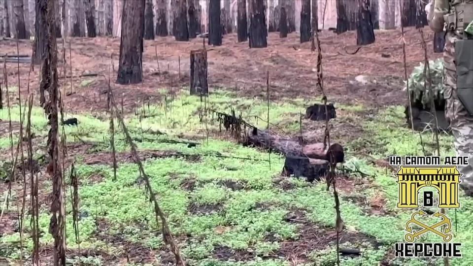 �� ���������� ����������� ������ ��������� ��� � ���� ������