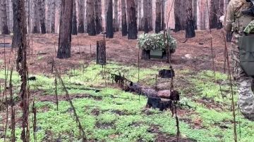 �������� ������: ������������� ����������� ������ ����������� ������������ ���������� ��� �� ������� ����������� ����� ������ ������� ��������� �������� ����������������� ���������