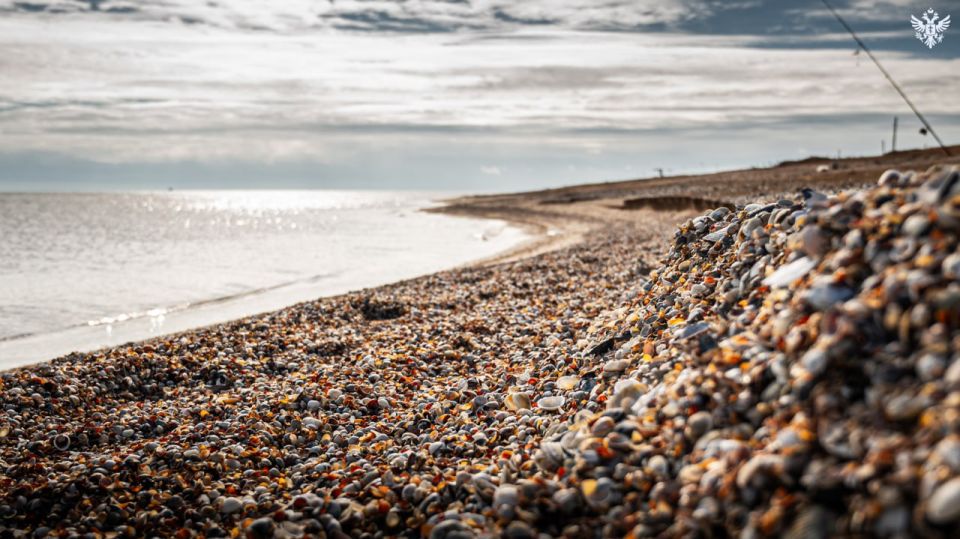 � 2025 ���� ���������� ������� �������� � ������������� 18 ������� ���������� ����� �������� 344 �������