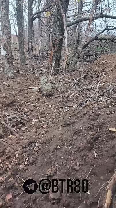 ����� ������ � ���������: ��������� ��������� ��������� ���������� ���