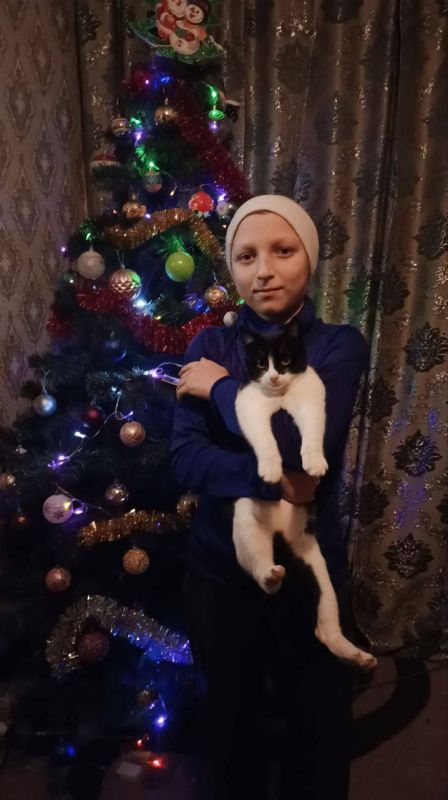 ������ �� ���������!. ��������� �������� ������ ������������ ����������� �����������