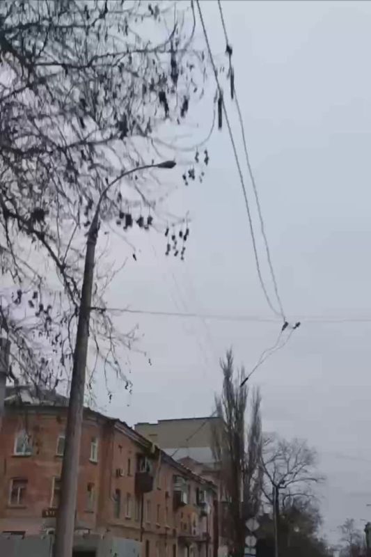 � �� ��� ������.... ������������ ����������: ����������� ���������� � 06:00 06.01.2026 �� 06:00 07.01.2026 ����� �� ��������� ����� ��� ������� ������, ����������� � ������������� ����������: �������������, ���������...