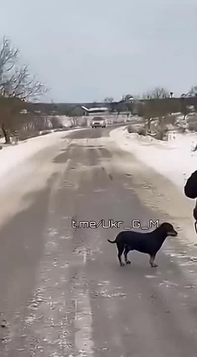 �������� ������� ������ ���: ����, ������ � "����� ����" �� �������!