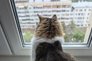 ��������� ���������� ������� ������������ � ����� � ������� ����� 8 ������