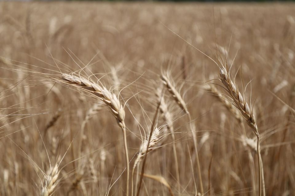 Рассказываем о том, чем занимались сотрудники администрации в 2025 году