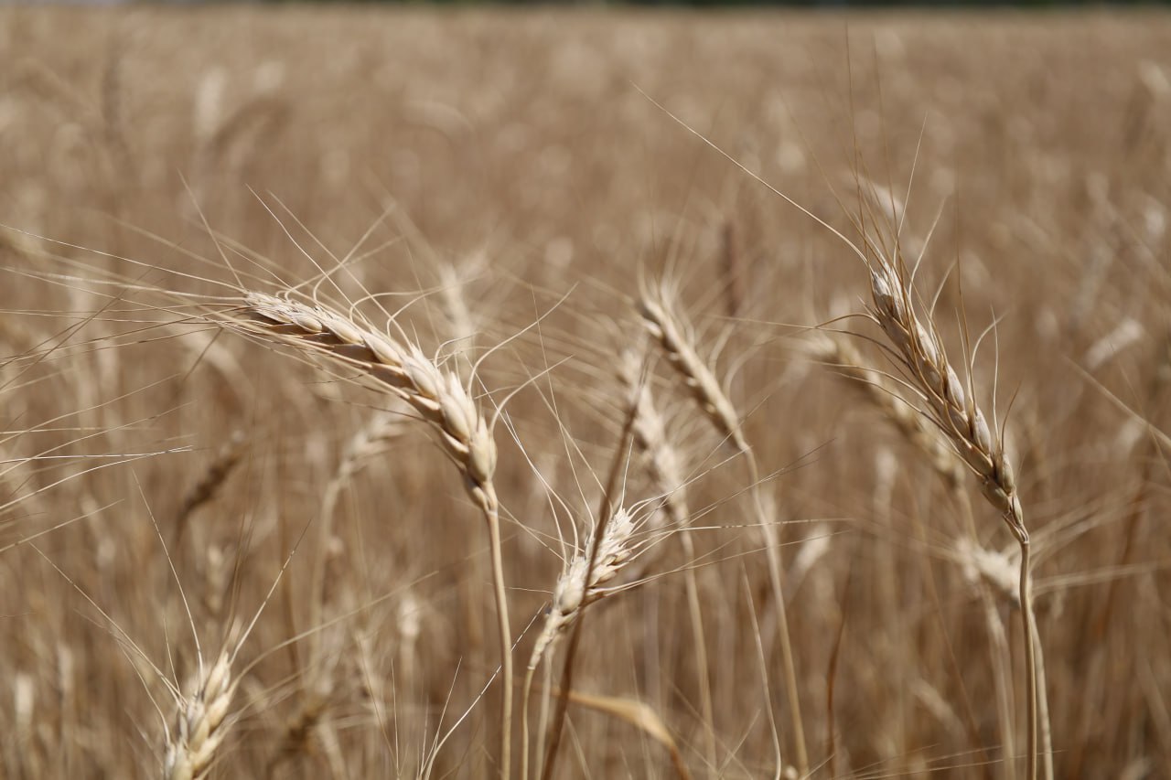 Рассказываем о том, чем занимались сотрудники администрации в 2025 году