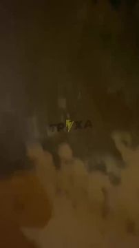 ������ ���: "������ ����������� ���� �� ������, ��� ����� � ��������� ��������", �������� ������� �������