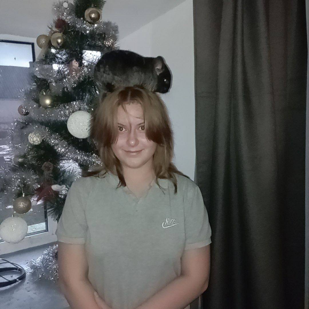 Первые и их любимцы. Друзья, наша пушистая рубрика не утихает даже на каникулах! Активисты Движения Первых присылают нам новогодние фото со своими любимцами, и мы, конечно же, не можем не поделиться ими с вами! На фото...