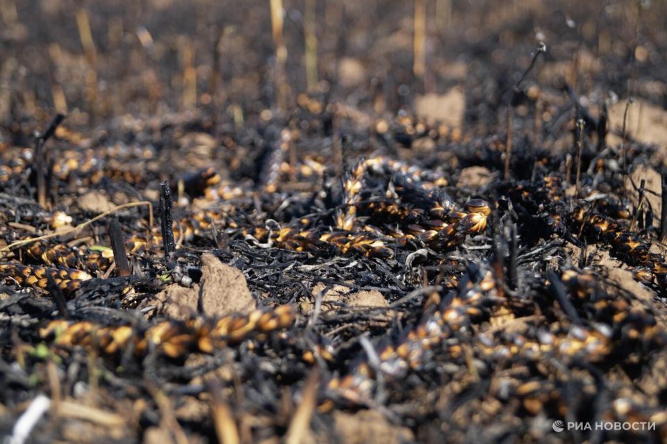 ��� �� ���� ������� ����� 100 ������ �� ���������� �������