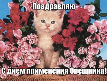 ВВС ВСУ плачутся в своей сводке, что скорость удара элементов «Орешника» составила 13000 км/ч или 3,6 км/сек