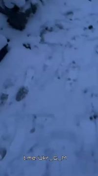 ���� �� �������: �������� "�������������" : ��� ������������� "��������"