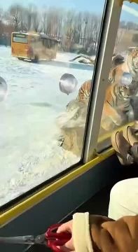 �������� ����� � ��������� �������� ��������� ���������, ��� ��������� ��������� �����