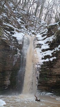 Фотоконкурс «Новогоднее настроение»