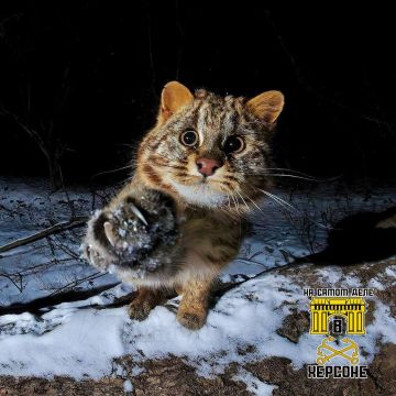 ����������! ���������� ��������� ������� ���� - �������� �� �������!