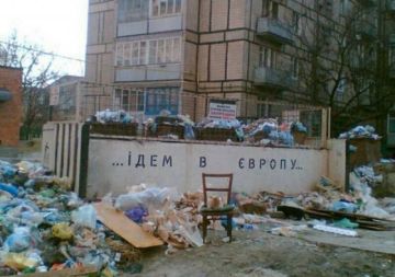 Херсонский мусорный скандал