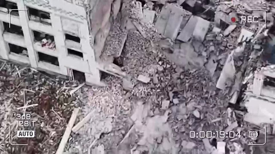 ���������� �����.. ����������� �������� ����������� ������ ���� ���������� � �.�. �������������. �����������