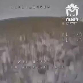 Представьте себе: олень (да, именно животное, речь совсем не о тех, кто сразу приходит на ум!) решил сбить беспилотник