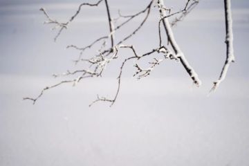 В Херсонской области ожидаются сильный снег, метель и гололед 11 января