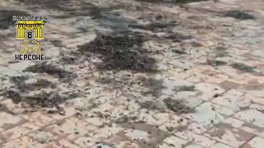 ������ � �������. ��������, ������ ���������! ������� � ����� ������� ����� ���� � ����, �� ����������, �� ������