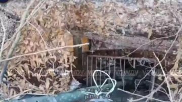 Операторы БпЛА 14 гвардейской бригады спецназа группировки войск "Восток" поразили замаскированный танк противника