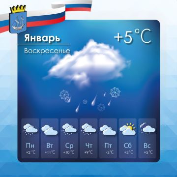 ������� ������ � ����������� ������������� ������ �� �����������, 11 ������