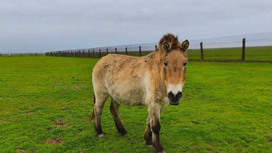 � ����������� ����������� ��������-���� ���� ���������� ������ ������������� �� ������ ����� � � 2025 ���� �� ����������� 38 ���