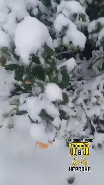 ������. ������ ������