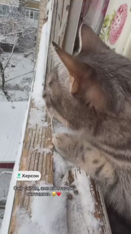 ������. �������� ��������� �������� ������