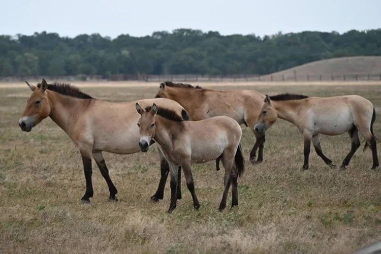 ������ �������� ������: � ���������� ����������� ������ ������������� �������� 38-� ���� ��������