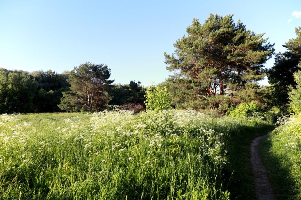 ���� ������ ����� �������� � ���������� ��������� �� ���������� ����