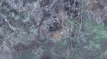 ���������. ��������� ������ ������� ���� �� ����� ������� ���������� �������� �.�.������ ���� �� �������