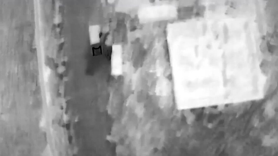 ������� ������������� ���� 49-� ������������� ����� ����������� ������ ������� �������� ����������� �������, ��������� ����� ������ � ������ �������� �����, � ����� �������������� ����� ���, ��������������� � �������