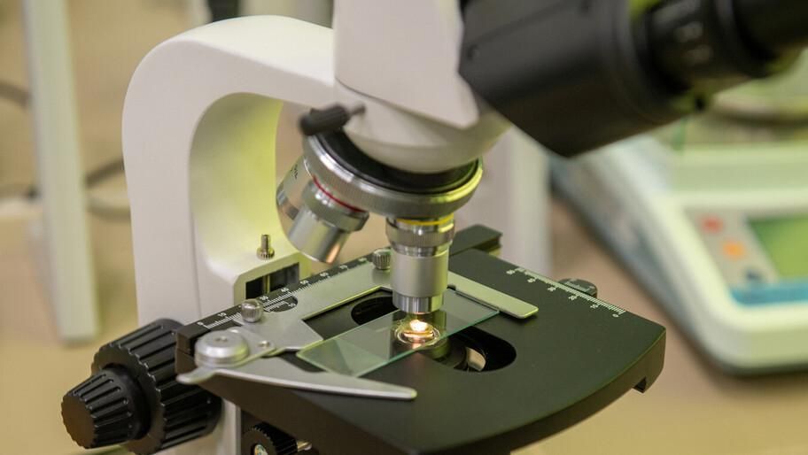 � 13 ��������������� ������������ ���������� ������� ��������� ������ ������� ������������