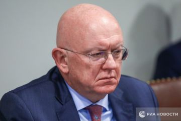 Ни одно враждебное действие со стороны "неонацистской клики" в Киеве не останется без должной реакции Москвы, подчеркнул Небензя