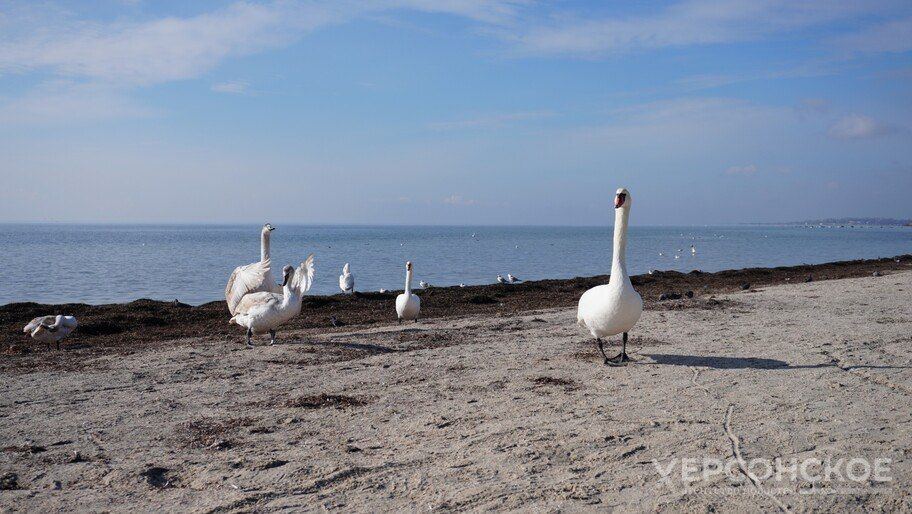 �������� ������� �������� �������� �������������� ����� ���������