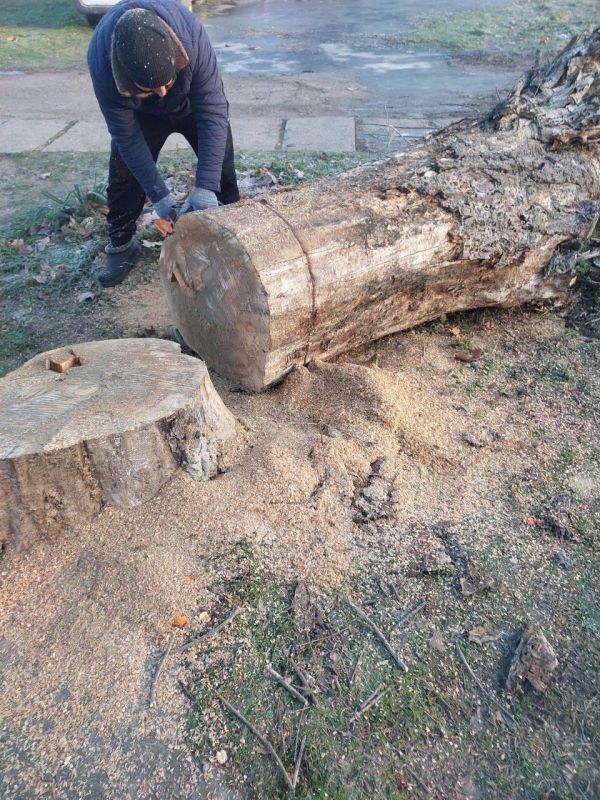 � ���������� ������ ������������ ������ �� ��������������� � ���������� ������