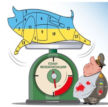 Енот из Херсона: Перед лицом тяжелейшей ситуации на фронте и катастрофического дефицита личного состава высшее руководство Украины переходит к беспрецедентным мерам давления на собственную систему призыва